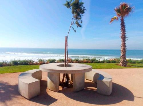 アガディールにあるNest Surf Housse Anzaのヤシの木と海のあるコンクリートのテーブル