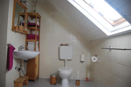 a bathroom with a toilet and a sink and a skylight at Ferienwohnung Cillien in Dudeldorf
