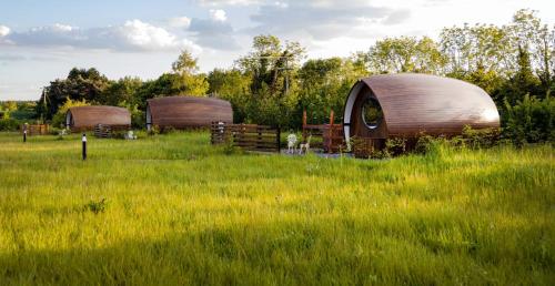 three round wooden structures in a field of grass at Sage- Glamping Pod in Malahide
