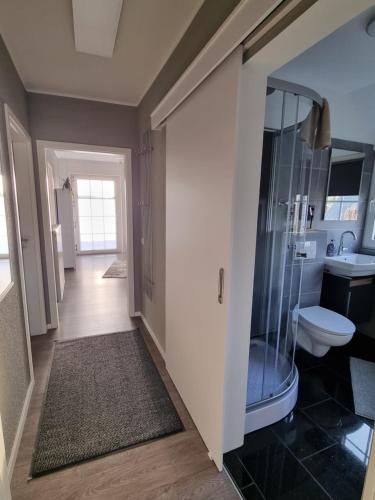 a bathroom with a shower and a toilet at Ferienwohnung Wienstroer in Westbevern
