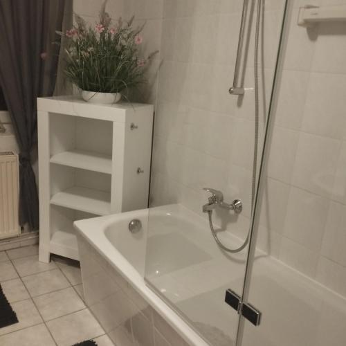 a bathroom with a shower and a tub with a plant at Fewo Am Waldrand in Heideblick