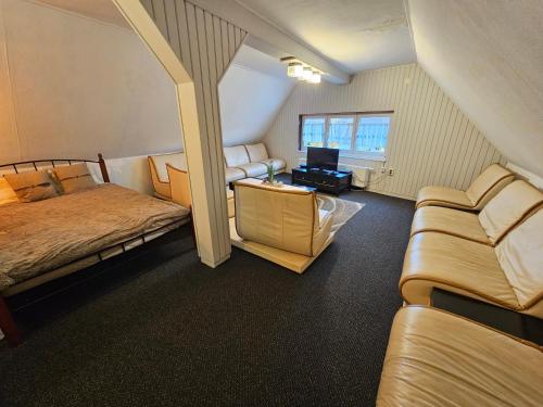 a room with a bed and a couch and a television at Alte Bibliothek in Kottmar