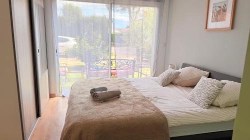 ein Bett in einem Zimmer mit einem großen Fenster in der Unterkunft Appartement familial 4 personnes avec piscine & parking in Arles