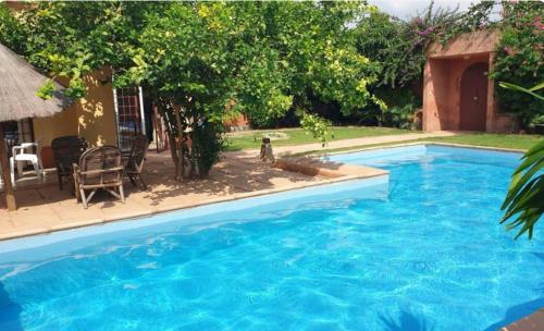a dog sitting next to a large blue swimming pool at Studio à 2 pas de l'aéroport in Saint-Louis