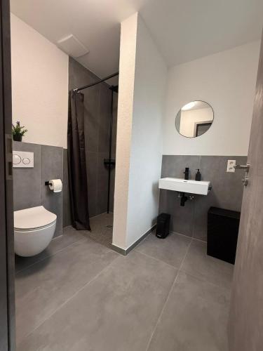 Un baño con inodoro, lavabo y ducha. en Ruhiges Apartment mit Terrasse an der Donau - Schwaben Living, en Munderkingen