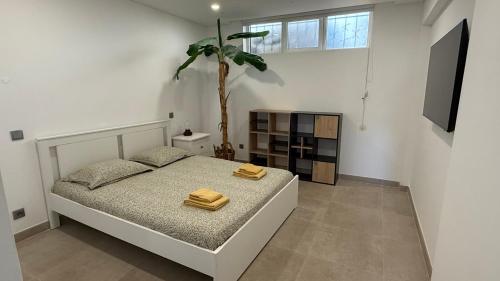 Sunny 3-Bedroom Apartment