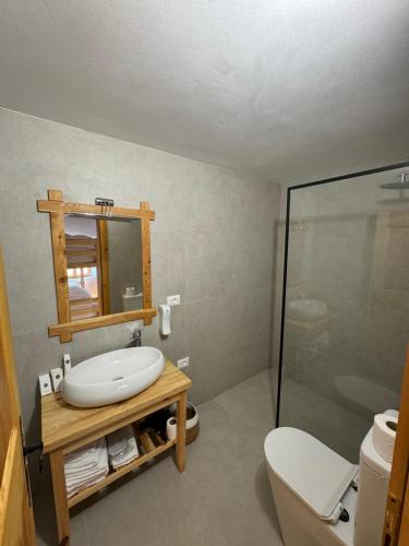 FishtëにあるGuesthouse Vitoria - Mrizi i Zanaveの洗面台、トイレ、鏡のあるバスルーム