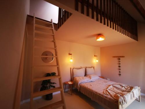 a bedroom with a bunk bed and a ladder at Mera Wellness B&B in America