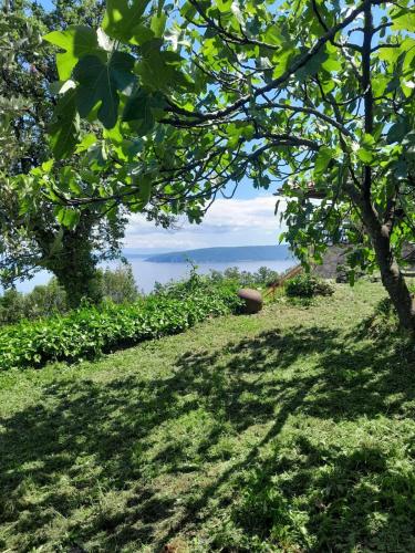 Dreamview studio apartment