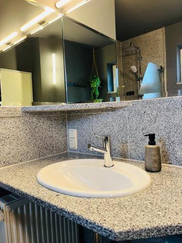 a bathroom counter with a sink and a mirror at OVERNIGHT No5 - Bungalow, Billard, Dart, Kamin in Hannover