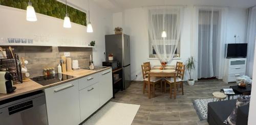 Η κουζίνα ή μικρή κουζίνα στο Apartmán Nekonečno Jeseník