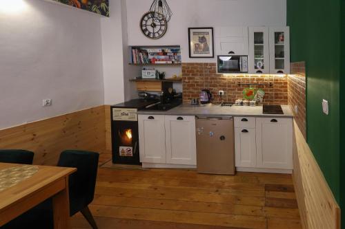 Kuchyň nebo kuchyňský kout v ubytování Pod Papugami