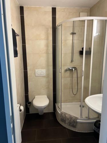 Ένα μπάνιο στο Pension Casa Ambiente