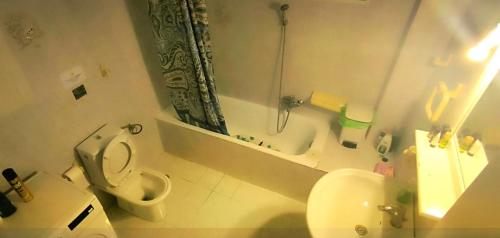 a bathroom with a toilet and a shower and a sink at Kounis Villa in Chalkida