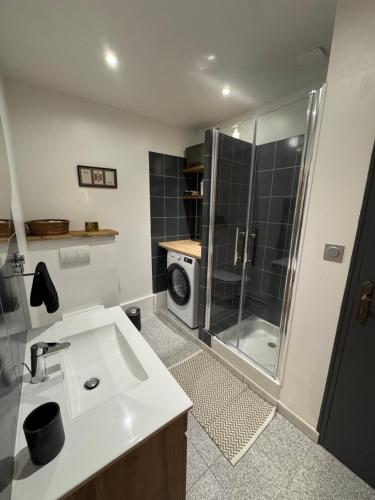 a bathroom with a sink and a shower at L'Appart du Coq - Proche du Zoo de Beauval & des châteaux in Selles-sur-Cher