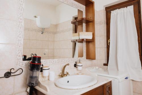 a bathroom with a sink and a mirror at Arcinazzohouse in Canterano