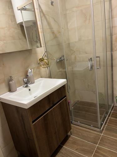 a bathroom with a sink and a shower at Cozy apartment Kosmaj Residence in Rogača