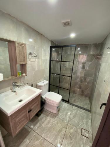 a bathroom with a toilet and a sink and a shower at Katrina Rum camp in Wadi Rum