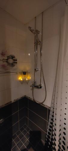een badkamer met een douche met een douchegordijn bij Võru 38 in Tartu