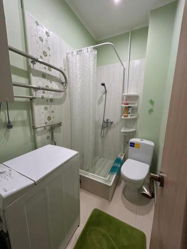 a bathroom with a shower and a toilet at Ligzdina in Auce