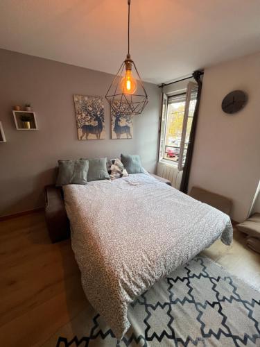 Confort appartement proche Gare et Centre Strasbourg