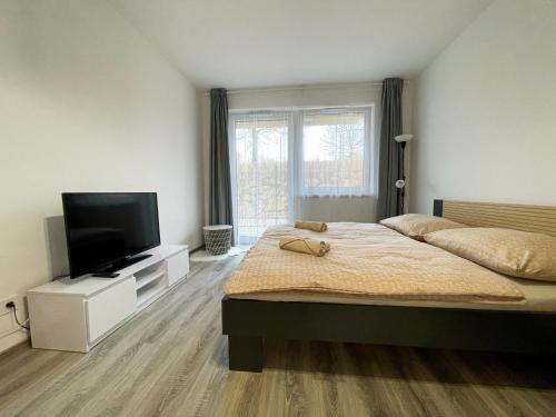 Ένα ή περισσότερα κρεβάτια σε δωμάτιο στο Apartmán FRIŠTENSKÉHO Olomouc