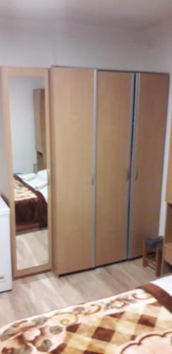 a bedroom with a large closet with a mirror at Apartman Iris in Bosanski Brod