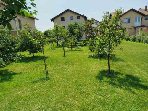 a row of trees in a field of grass at Apartmani LIDER Visoko in Visoko