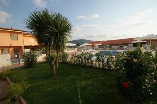 eine Palme im Hof eines Resorts in der Unterkunft Appartamento Carnovale WiFi Piscina divertimento sul mare di Pizzo in Fondaco Vecchio