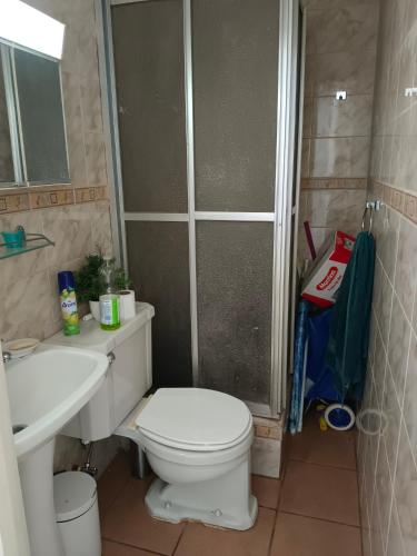 a bathroom with a toilet and a sink and a shower at Departamento Poniente a pasos del casino y playas in Viña del Mar