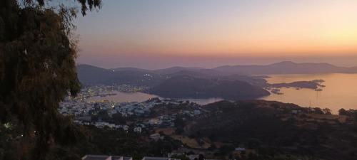 Příroda nedaleko vily