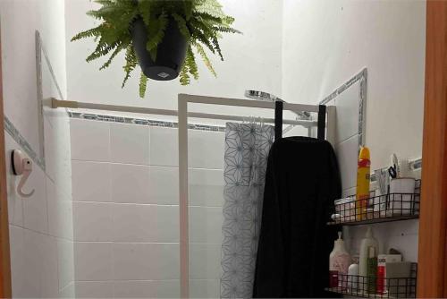 a bathroom with a shower curtain and a plant at The Walnut tree in San Miguel de Luena