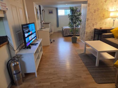 a living room with a flat screen tv on a table at L ' Arlequin Suite et logement in Vaudreuil-Dorion