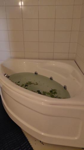 索特卡莫Arctic Landhaus的一个脏兮兮的浴缸里装着绿色液体