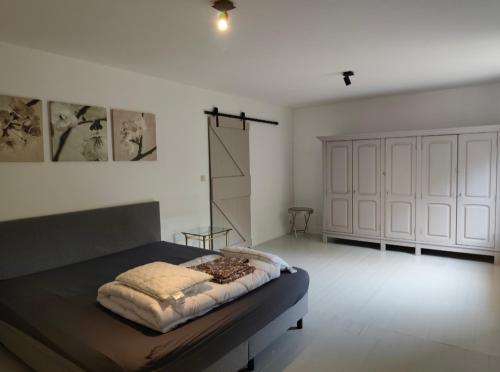 a bedroom with a bed in the middle of a room at Villa AIMÉ SALMCHÂTEAU in Vielsalm