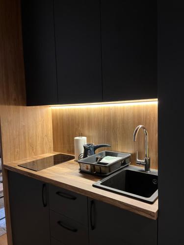 a kitchen counter top with a sink and a counter top at Apartmani Balkan Square in Zlatibor