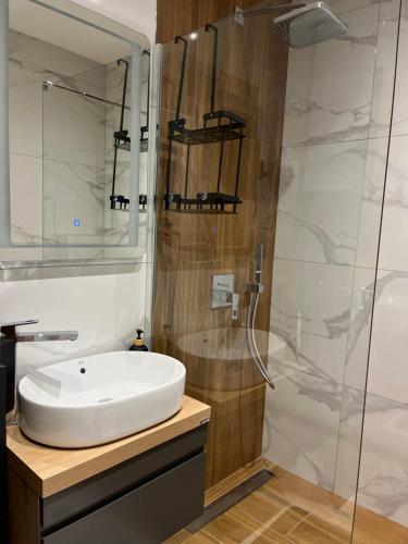 ズラティボールにあるApartmani Balkan Squareの洗面台とガラスのシャワーを備えたバスルーム