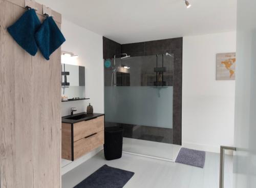 a bathroom with a shower and a sink and a counter at Villa AIMÉ SALMCHÂTEAU in Vielsalm