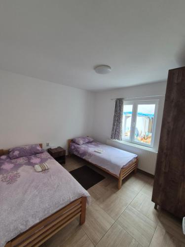 um quarto com duas camas e uma janela em Apartmani Petrović SEMČE Suva Planina em Gadžin Han