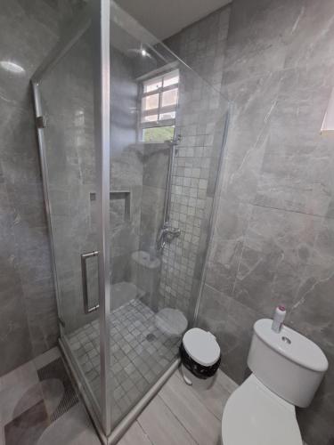 a bathroom with a shower and a white toilet at Ackee Green Rentals - 1 Bedroom in Gros Islet