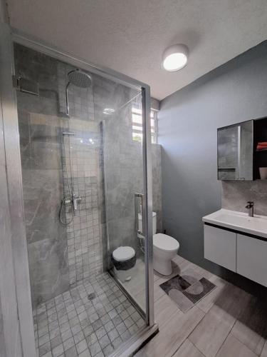 a bathroom with a shower and a toilet and a sink at Ackee Green Rentals - 1 Bedroom in Gros Islet