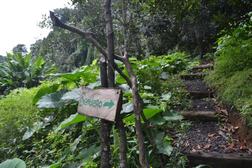Eco La Jicaritaにある庭