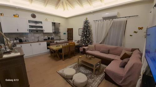ein Wohnzimmer mit einer Couch und einem Weihnachtsbaum in der Unterkunft Pelion Malaki- Casa Verde in Malaki