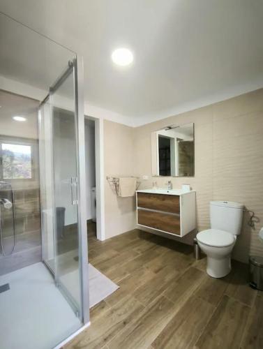 a bathroom with a toilet and a sink and a shower at La Chavera in Realejo Alto
