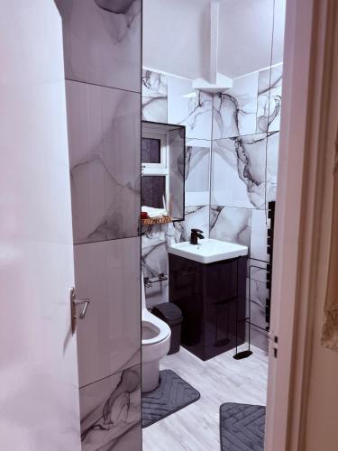 a bathroom with a toilet and a sink at Grand Haven Dudley in Dudley