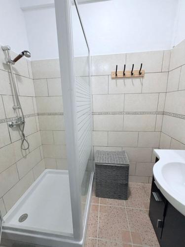 een badkamer met douche en wastafel bij Le Neo-Cayenne in Cayenne