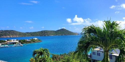 vista su un grande bacino idrico con palme di Point Pleasant Resort a Frydendal