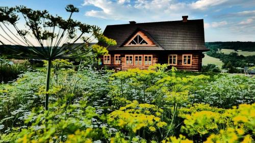 a house in the middle of a field of flowers at Dom Gościnny Szpilkowo in Nowica