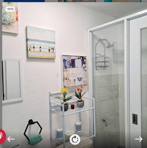a bathroom with a shower and a shelf with flowers at Cozy Apartment, Isabela in Galateo Bajo