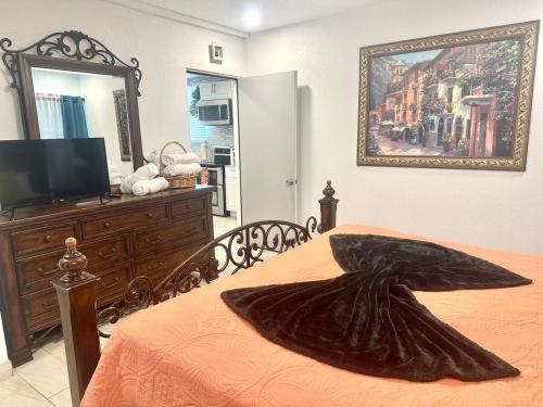 Galería fotográfica de Feel at home ! Only 5 min from the Beach in car en Clearwater